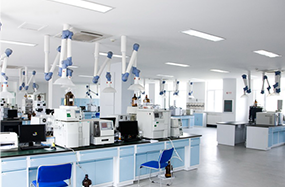 ��8ͷ�����(����)�ٷ���վ