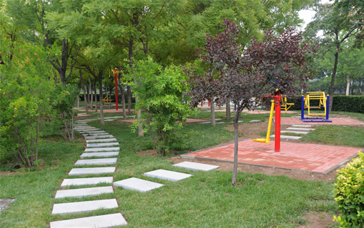 BG����(�й�)Ψһ�ٷ���վ