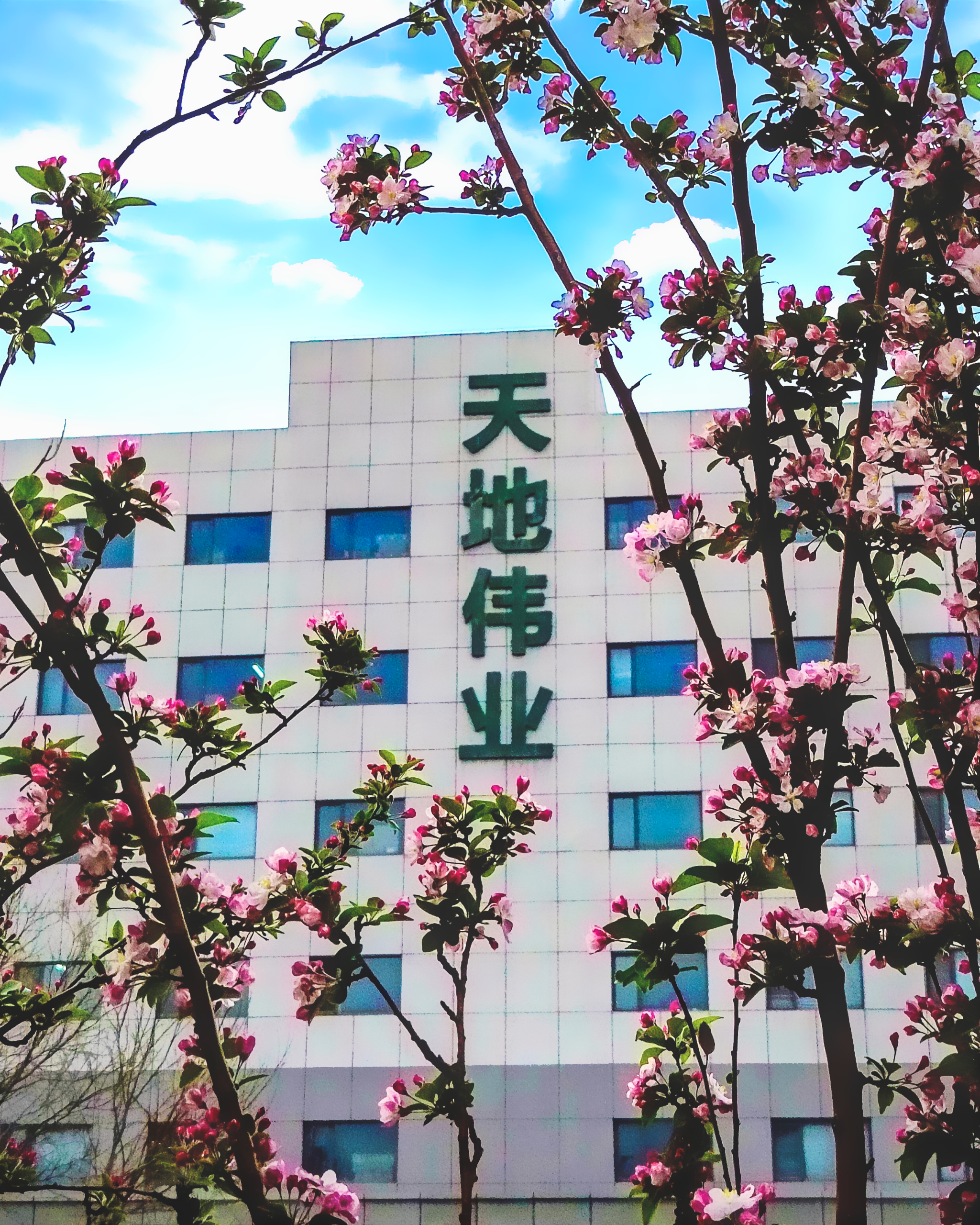 BG����(�й�)Ψһ�ٷ���վ