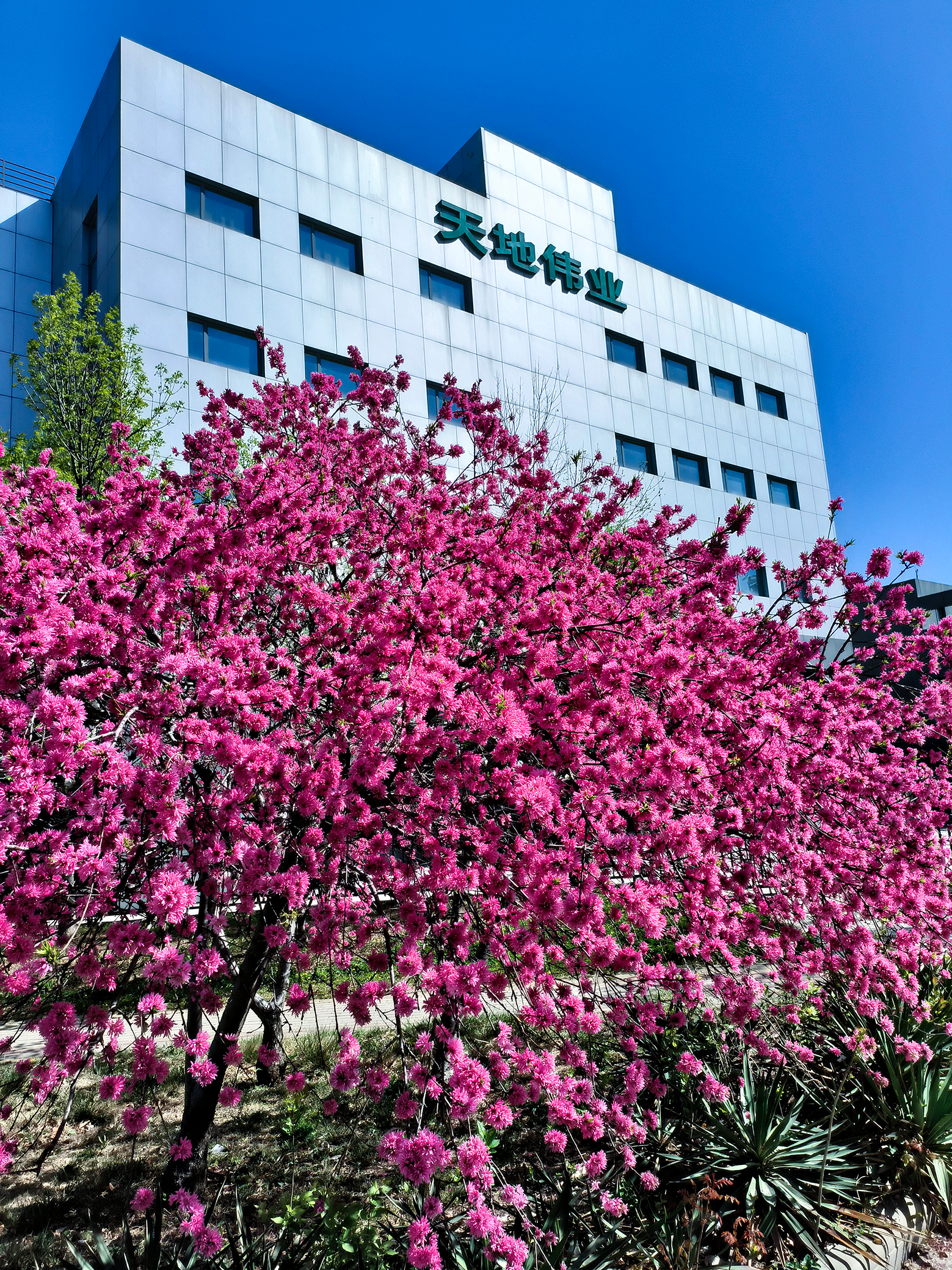 BG����(�й�)Ψһ�ٷ���վ