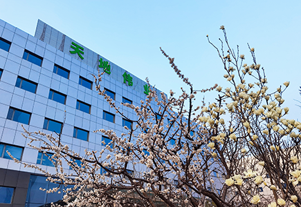 BG����(�й�)Ψһ�ٷ���վ