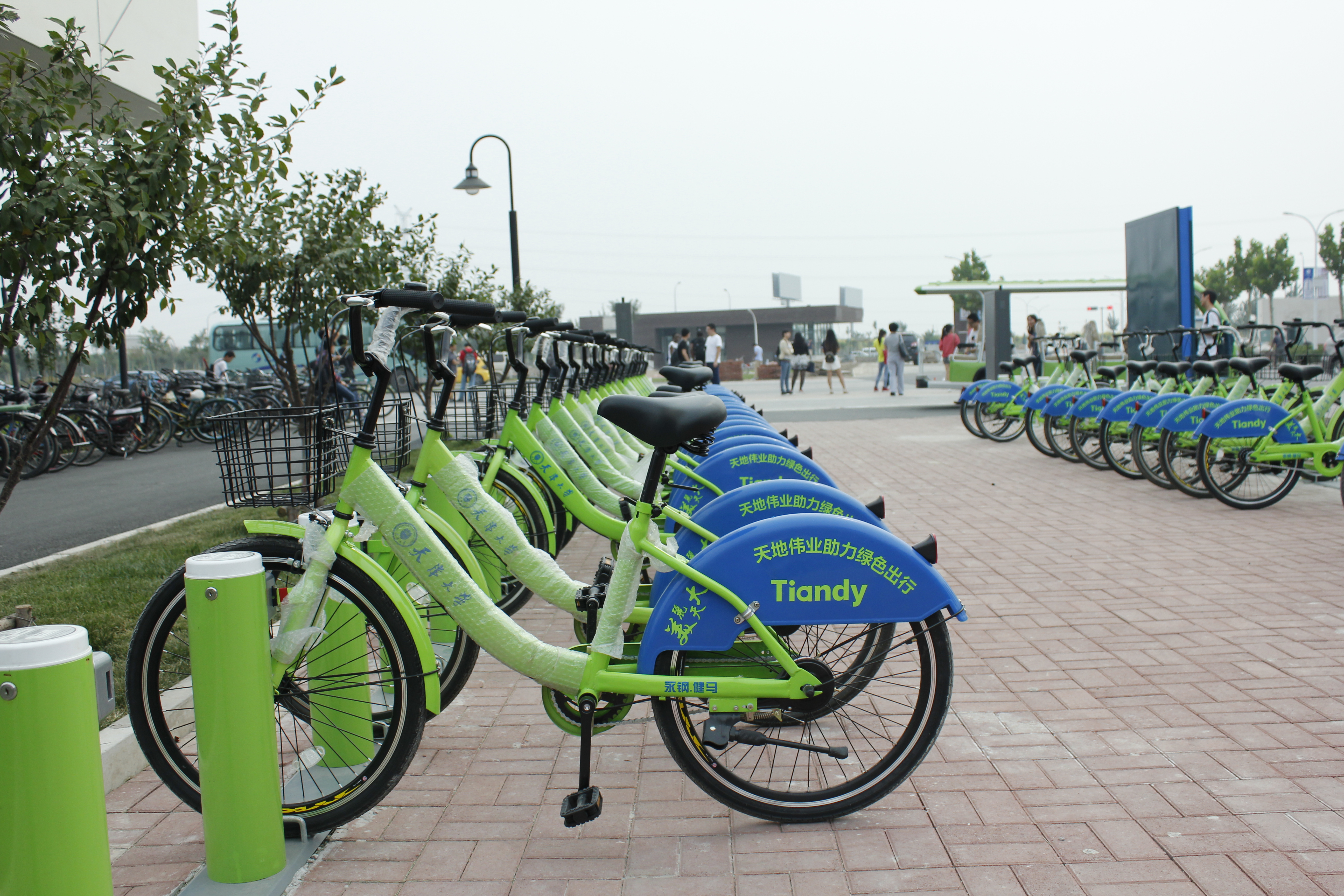 BG����(�й�)Ψһ�ٷ���վ