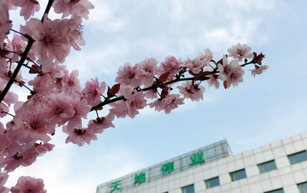 BG����(�й�)Ψһ�ٷ���վ