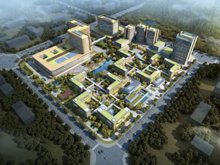 BG����(�й�)Ψһ�ٷ���վ