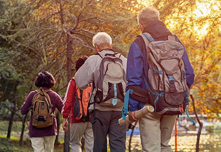 BG����(�й�)Ψһ�ٷ���վ