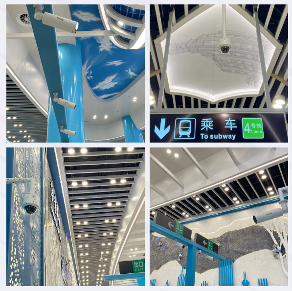 BG大游(中国)唯一官方网站