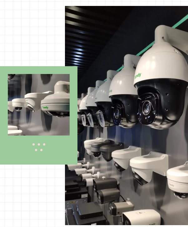 BG大游(中国)唯一官方网站