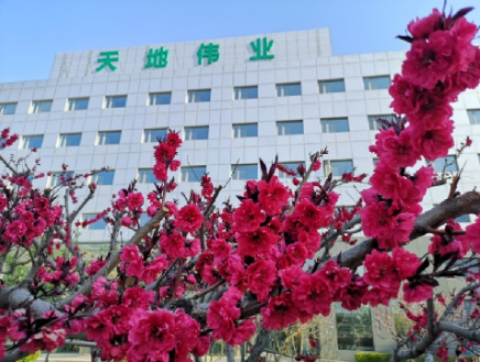 BG����(�й�)Ψһ�ٷ���վ