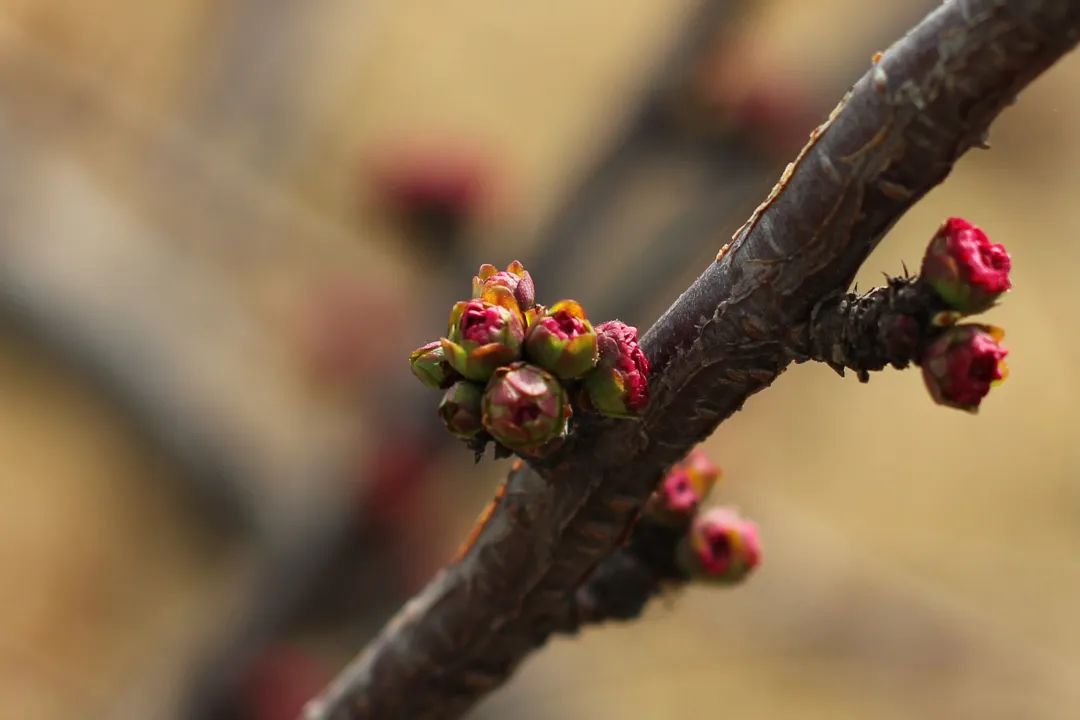 BG����(�й�)Ψһ�ٷ���վ