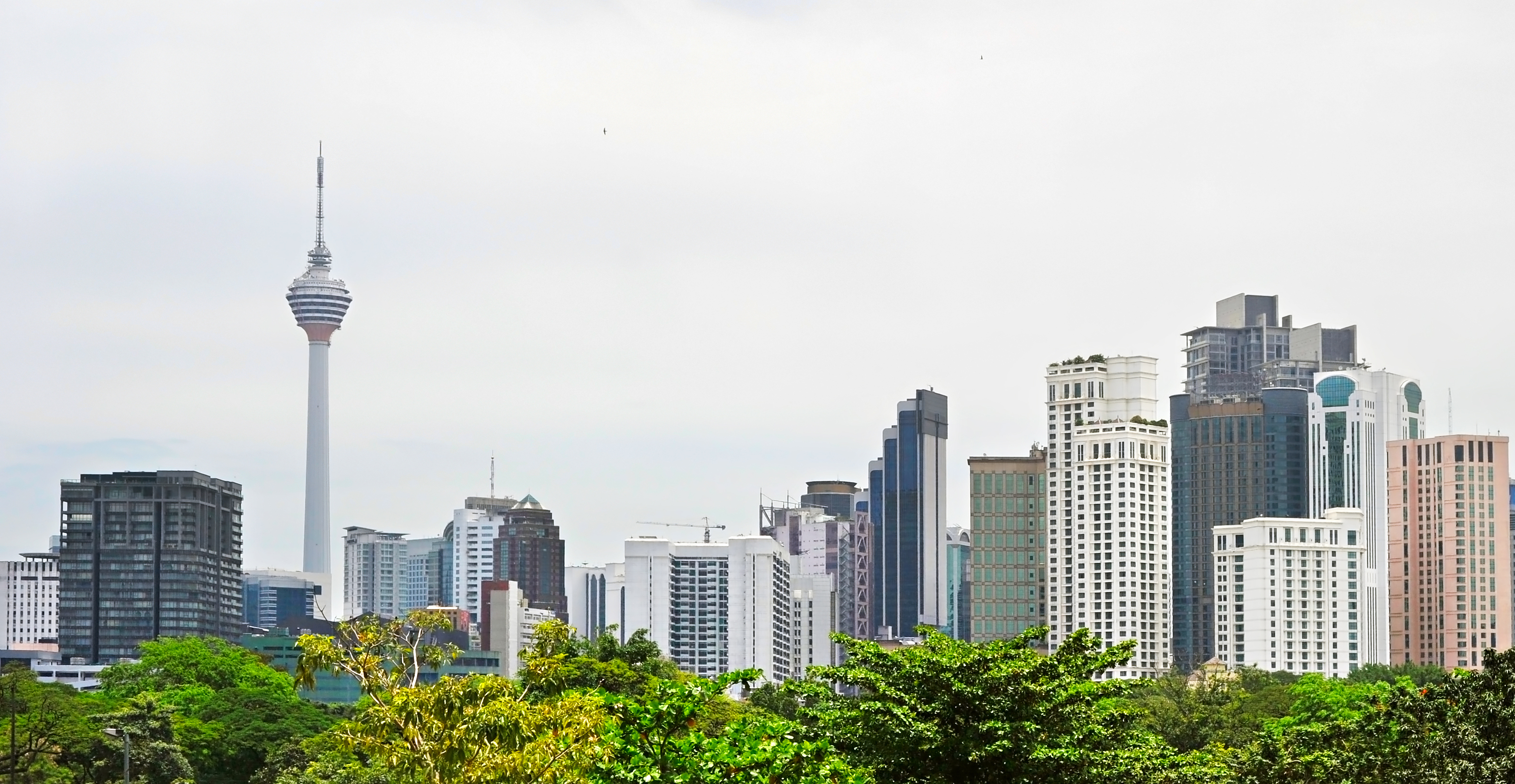 BG����(�й�)Ψһ�ٷ���վ